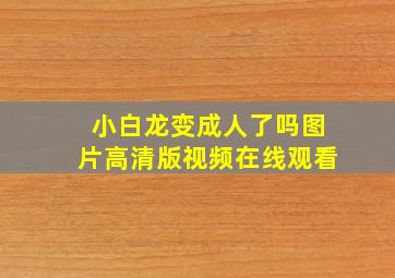 小白龙变成人了吗图片高清版视频在线观看