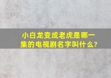 小白龙变成老虎是哪一集的电视剧名字叫什么?