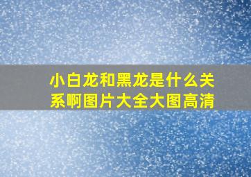 小白龙和黑龙是什么关系啊图片大全大图高清