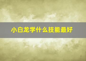 小白龙学什么技能最好