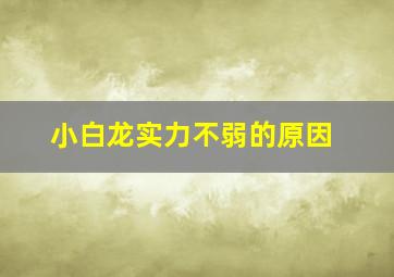 小白龙实力不弱的原因