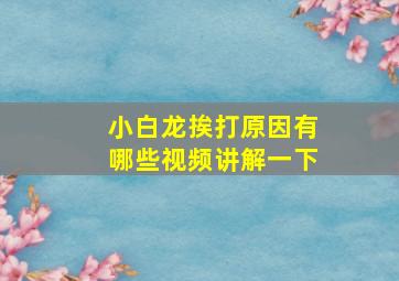 小白龙挨打原因有哪些视频讲解一下