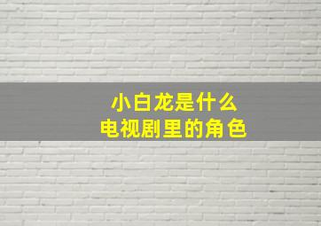 小白龙是什么电视剧里的角色