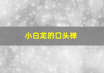 小白龙的口头禅