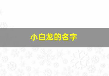 小白龙的名字