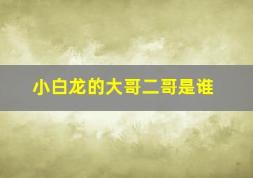 小白龙的大哥二哥是谁