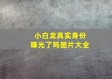 小白龙真实身份曝光了吗图片大全