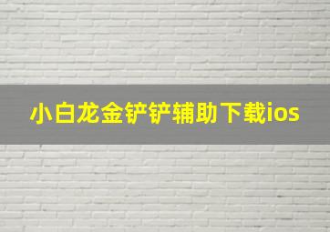 小白龙金铲铲辅助下载ios