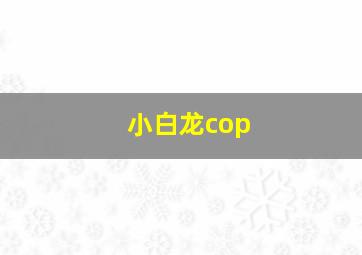 小白龙cop