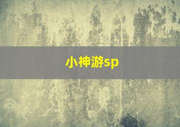 小神游sp