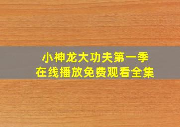 小神龙大功夫第一季在线播放免费观看全集