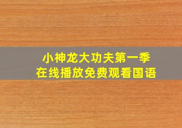 小神龙大功夫第一季在线播放免费观看国语