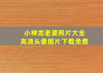 小神龙老婆照片大全高清头像图片下载免费