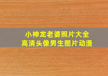 小神龙老婆照片大全高清头像男生图片动漫