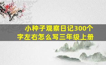 小种子观察日记300个字左右怎么写三年级上册