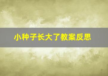 小种子长大了教案反思