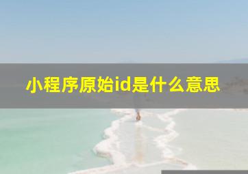 小程序原始id是什么意思