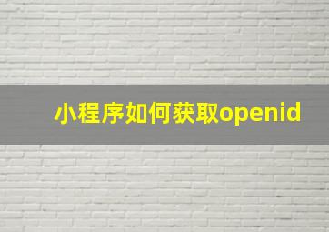 小程序如何获取openid