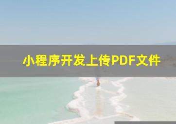 小程序开发上传PDF文件