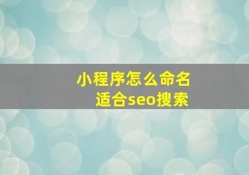 小程序怎么命名适合seo搜索