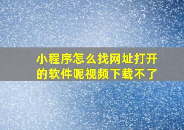 小程序怎么找网址打开的软件呢视频下载不了