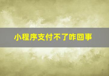 小程序支付不了咋回事