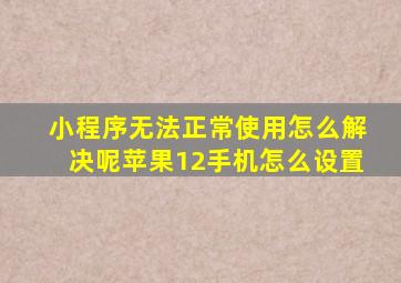 小程序无法正常使用怎么解决呢苹果12手机怎么设置