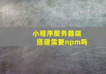 小程序服务器端搭建需要npm吗