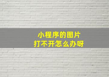 小程序的图片打不开怎么办呀