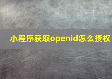 小程序获取openid怎么授权