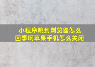 小程序跳到浏览器怎么回事啊苹果手机怎么关闭