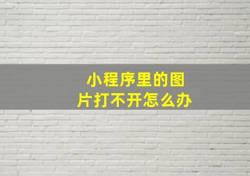 小程序里的图片打不开怎么办