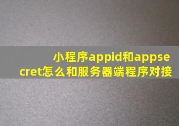 小程序appid和appsecret怎么和服务器端程序对接