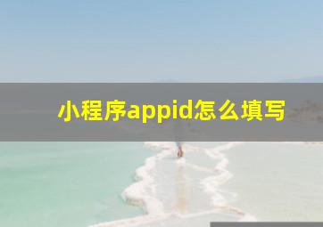 小程序appid怎么填写