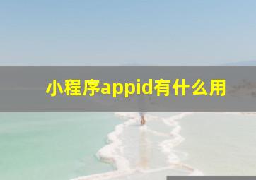 小程序appid有什么用