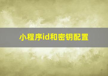 小程序id和密钥配置