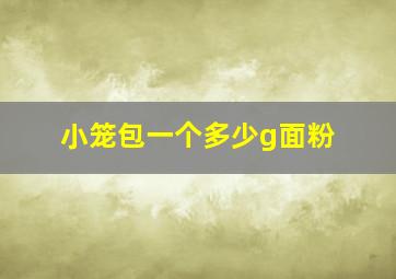 小笼包一个多少g面粉