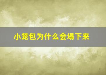 小笼包为什么会塌下来