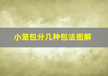 小笼包分几种包法图解