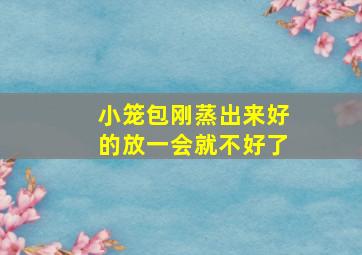 小笼包刚蒸出来好的放一会就不好了