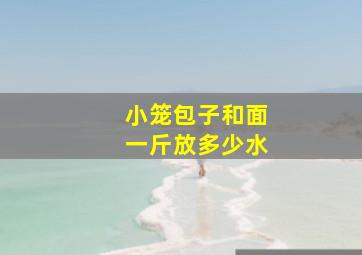 小笼包子和面一斤放多少水