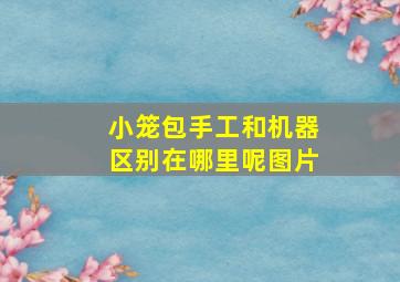 小笼包手工和机器区别在哪里呢图片