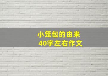 小笼包的由来40字左右作文