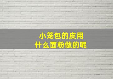 小笼包的皮用什么面粉做的呢