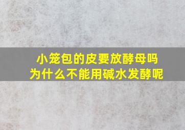 小笼包的皮要放酵母吗为什么不能用碱水发酵呢