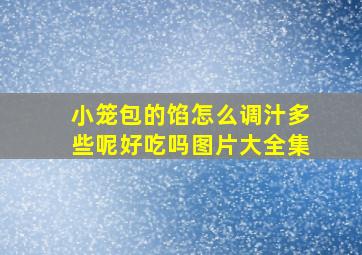 小笼包的馅怎么调汁多些呢好吃吗图片大全集