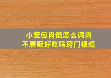 小笼包肉馅怎么调肉不腥呢好吃吗窍门视频