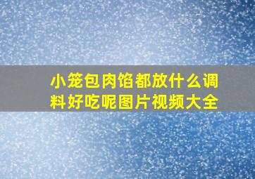 小笼包肉馅都放什么调料好吃呢图片视频大全