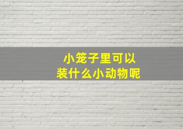 小笼子里可以装什么小动物呢