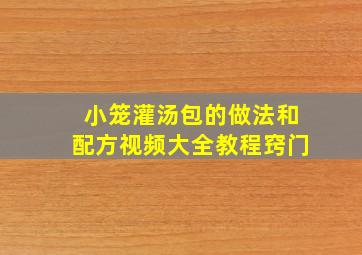 小笼灌汤包的做法和配方视频大全教程窍门